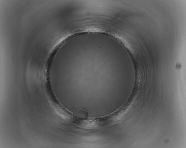 X0000091510351200708171200