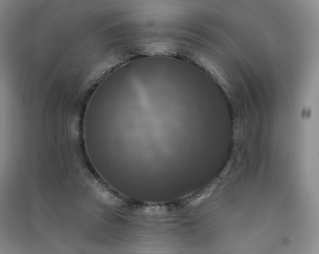 X0000091510353200708171200