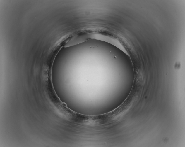 X0000091510356200708171200