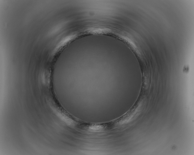 X0000091510357200708171200