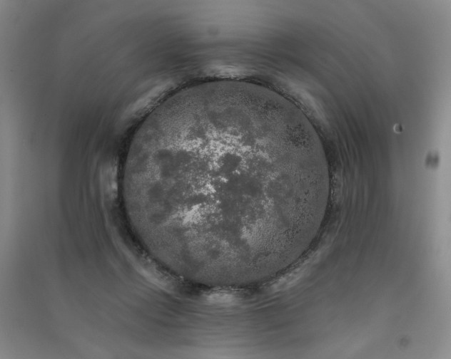 X0000091510358200708171200