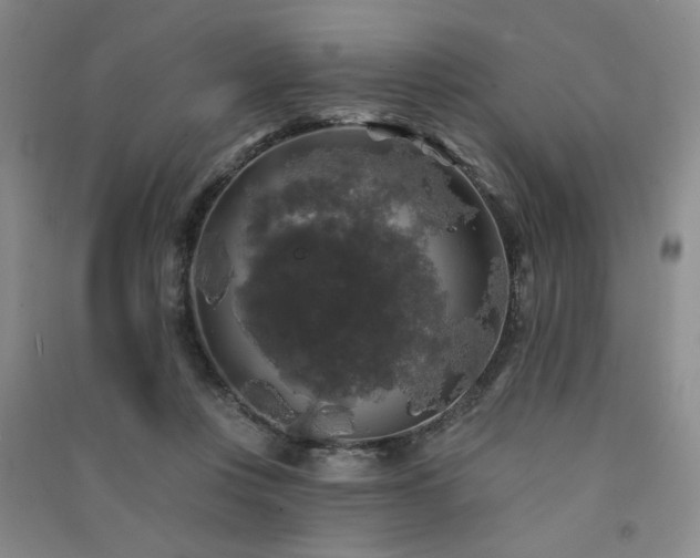 X0000091510359200708171200