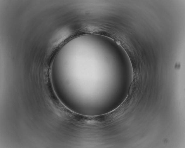 X0000091510360200708171200
