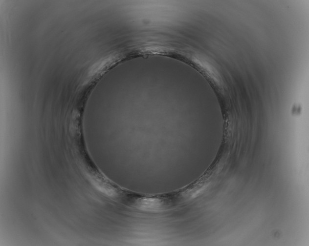 X0000091510361200708171200