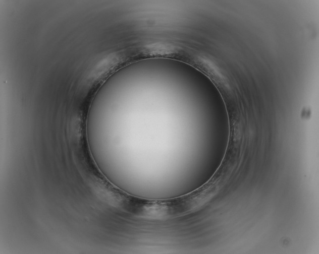 X0000091510362200708171200