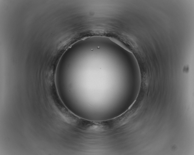 X0000091510364200708171200