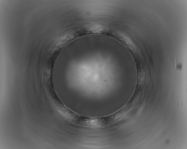 X0000091510365200708171200