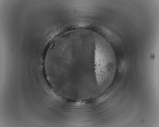 X0000091510366200708171200