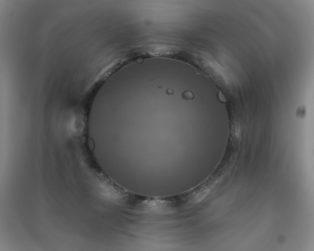 X0000091510367200708171200