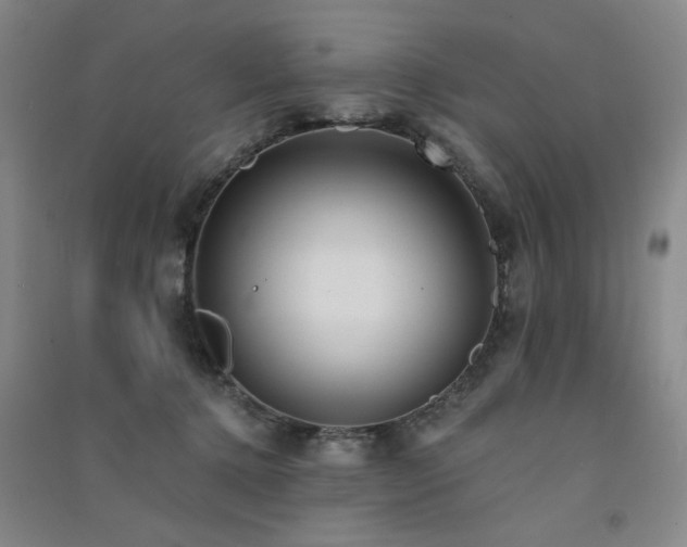 X0000091510368200708171200