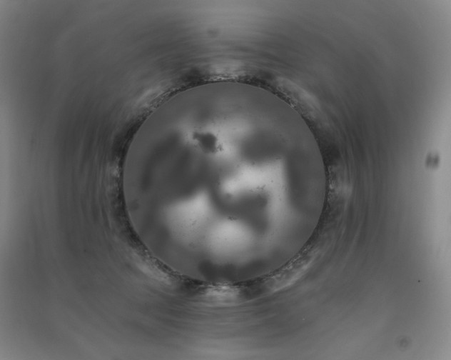 X0000091510369200708171200