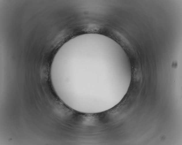 X0000091510370200708171200