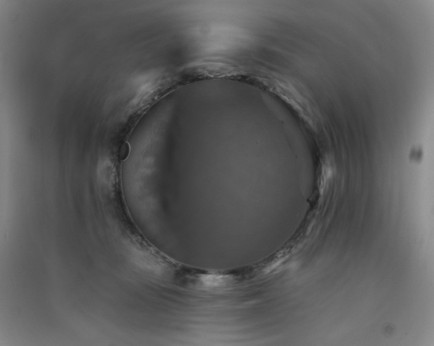 X0000091510371200708171200