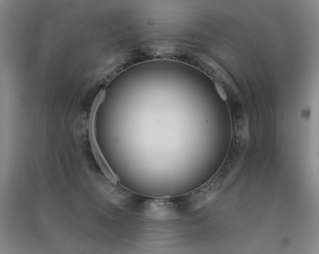 X0000091510372200708171200