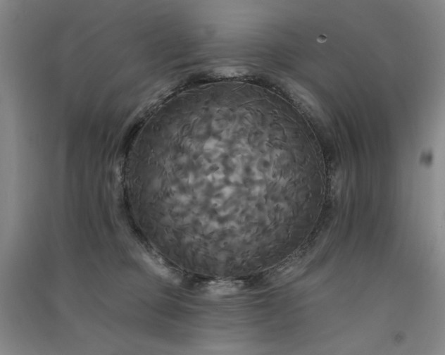 X0000091510373200708171200