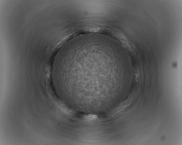 X0000091510374200708171200