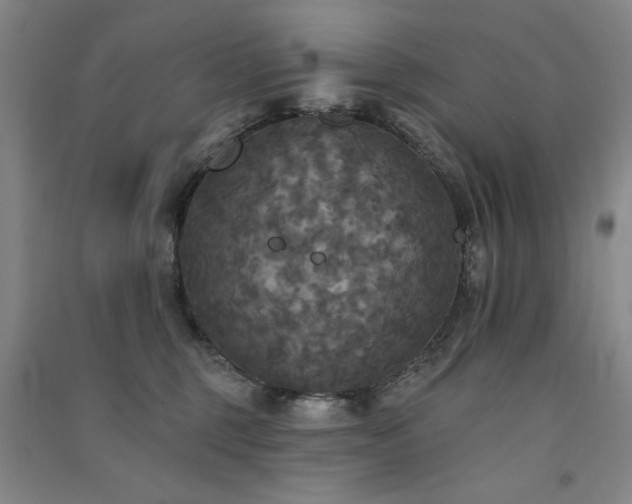 X0000091510375200708171200
