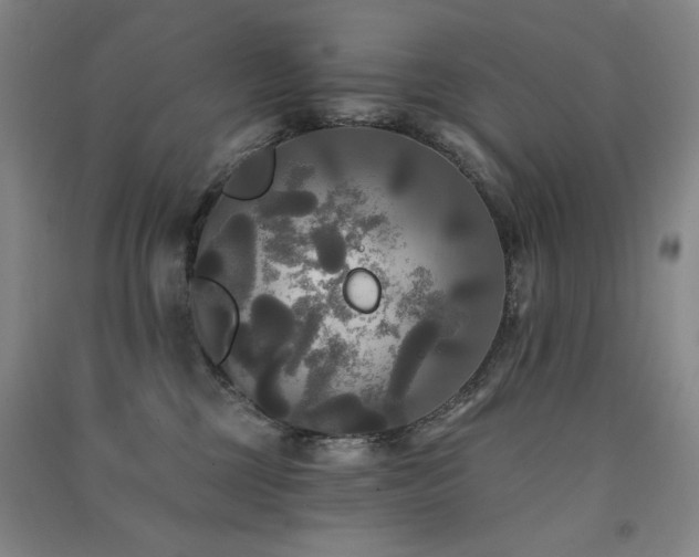 X0000091510377200708171200