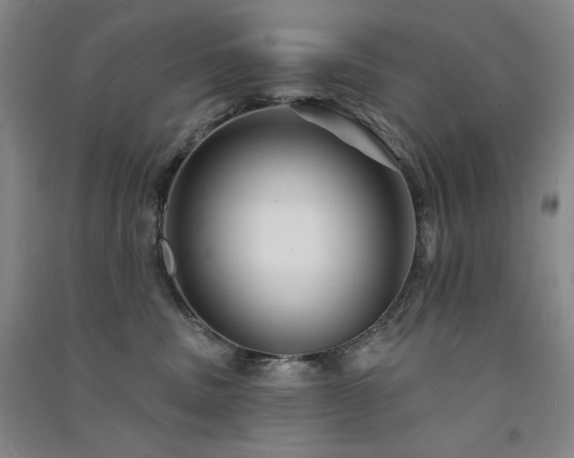 X0000091510379200708171201