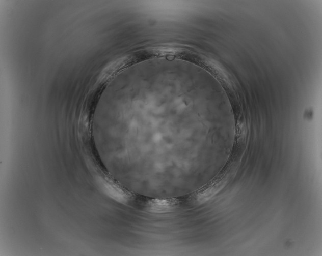 X0000091510381200708171201