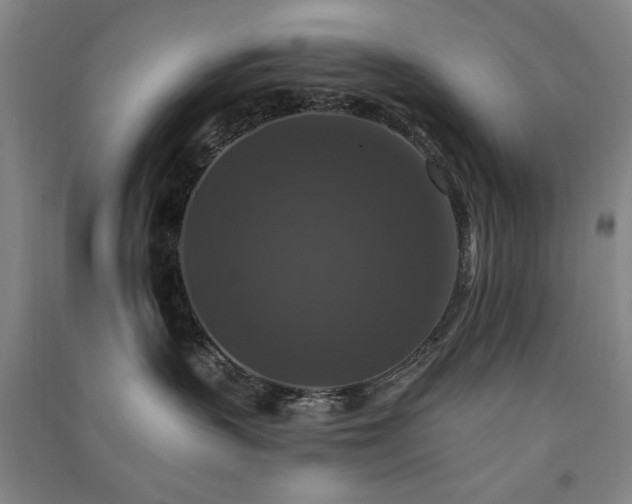 X0000091510383200708171201
