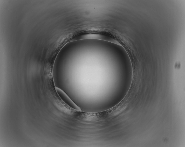 X0000091510384200708171201