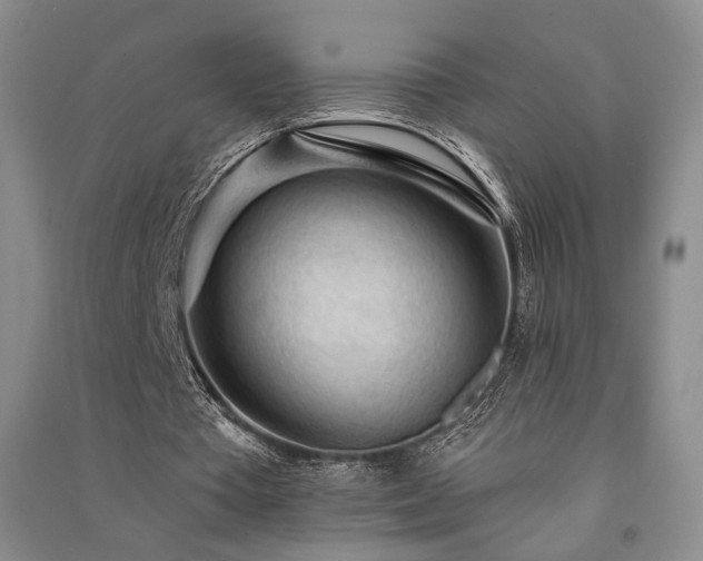 X0000091510385200708171200