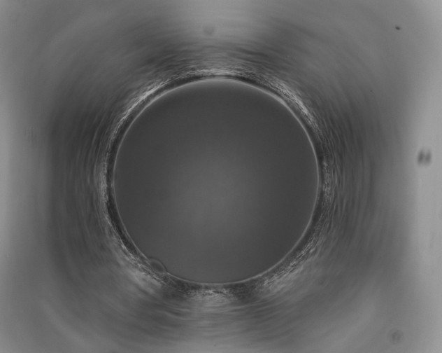 X0000091510386200708171200