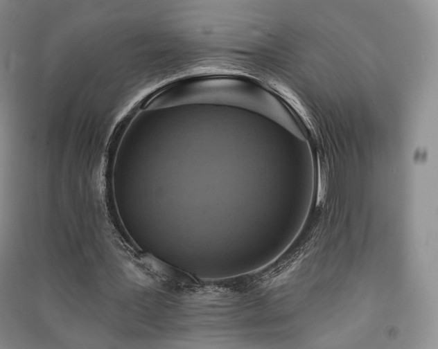 X0000091510387200708171200