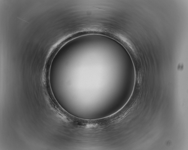X0000091510388200708171200