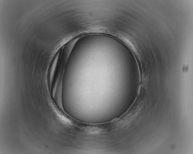 X0000091510389200708171200