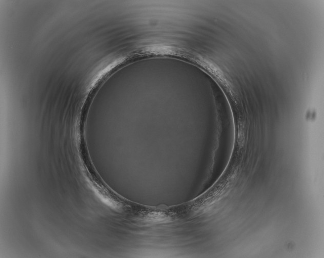 X0000091510390200708171200