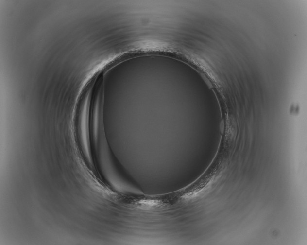 X0000091510391200708171200