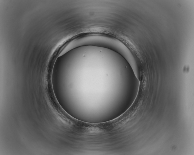 X0000091510392200708171200