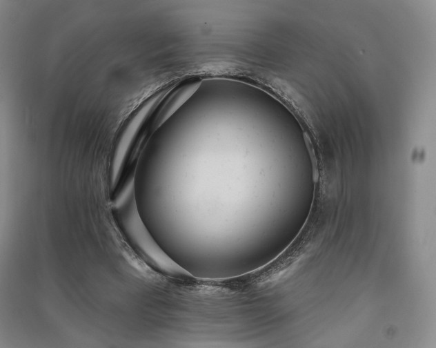X0000091510393200708171200