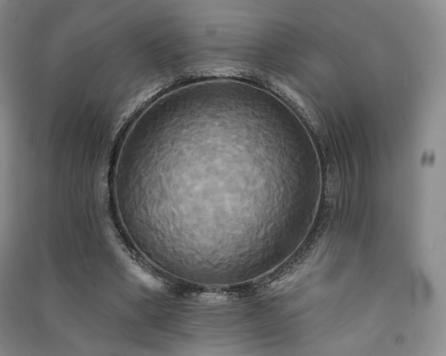 X0000091510394200708171200