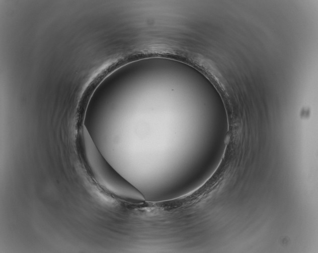 X0000091510395200708171200