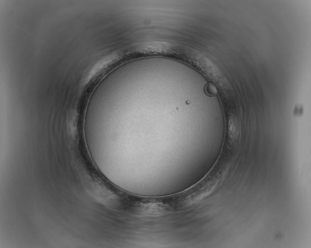 X0000091510396200708171200