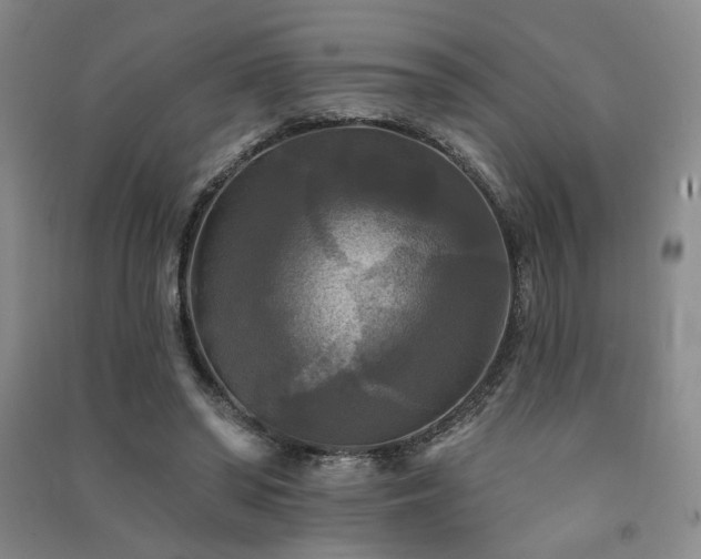 X0000091510398200708171200