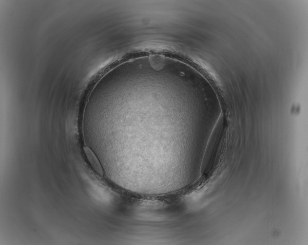 X0000091510399200708171200