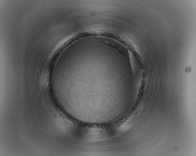 X0000091510400200708171200