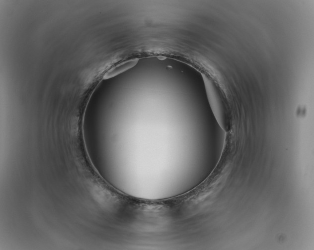 X0000091510401200708171200