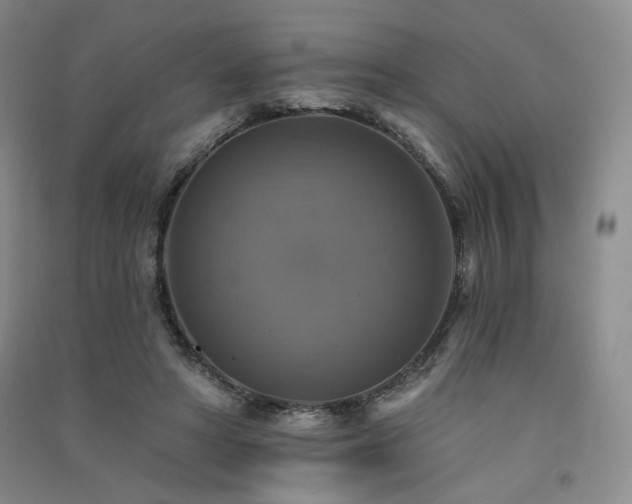 X0000091510402200708171200