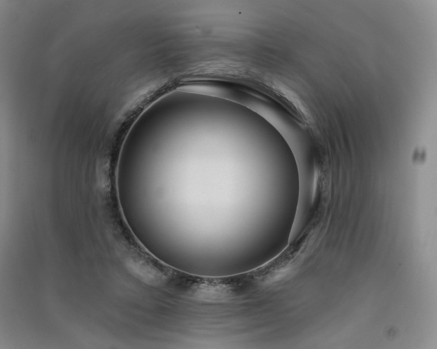 X0000091510403200708171200