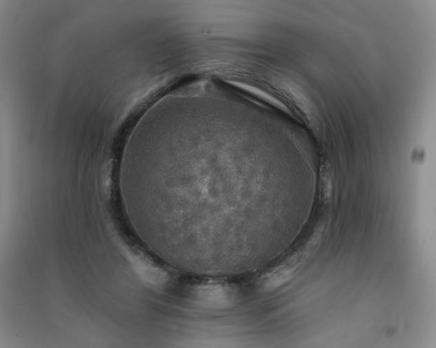 X0000091510404200708171200
