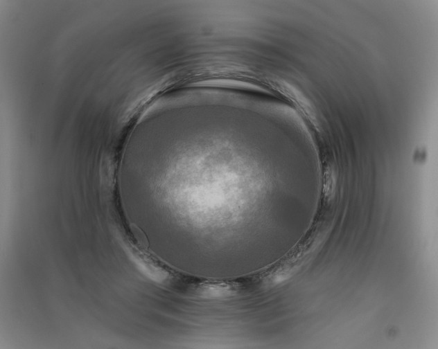 X0000091510405200708171200