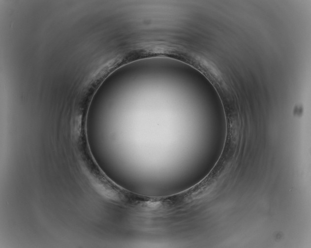X0000091510406200708171200