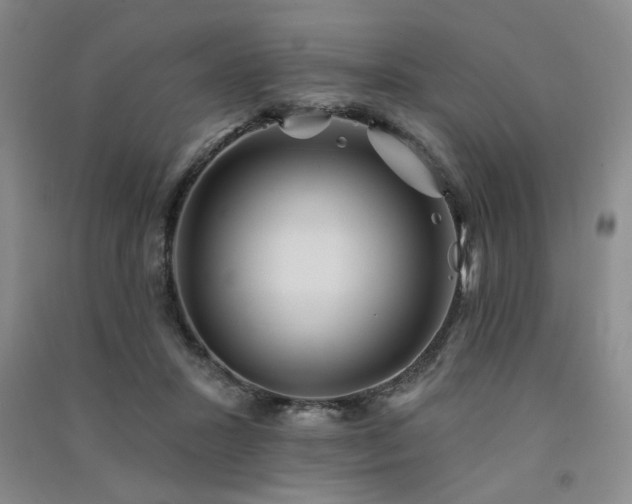 X0000091510407200708171200