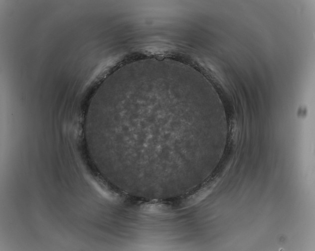 X0000091510408200708171200