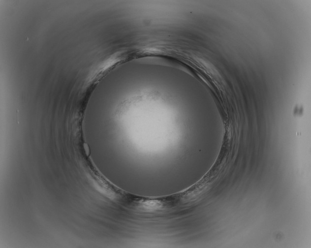 X0000091510409200708171200